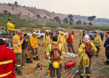 Fuego en Aluminé:» Las condiciones siguen siendo favorables para el incendio»