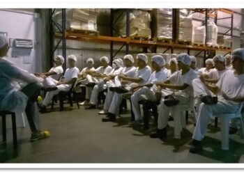 La respuesta que aporta la kinesiología al «cuello de texto» y otros trastornos musculares por malas posturas