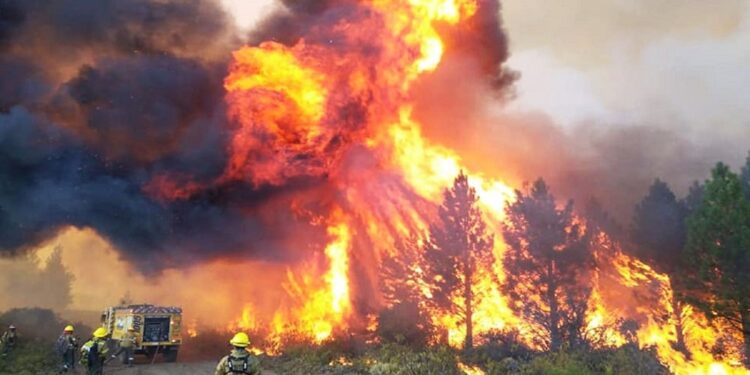 El fuego no da tregua en la Patagonia y ya consumió unas 36.300 hectáreas