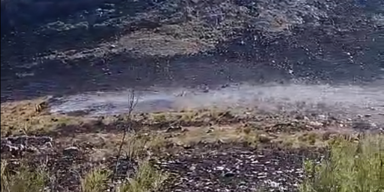 Controlaron el incendio que se desató aye en el sector serrano