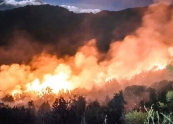 Detuvieron a tres sospechosos por los incendios en El Bolsón
