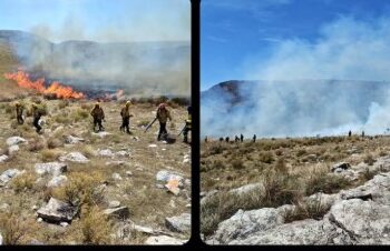Se reinició el fuego este mediodía en cerros de Coronel Suarez