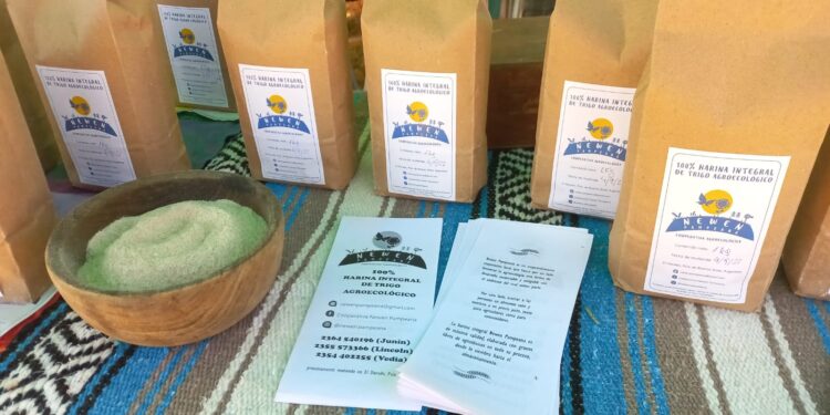 Cooperativa bonaerense produce harinas ecológicas dentro de un modelo económico sostenible, accesible y respetuoso con los ciclos naturales.