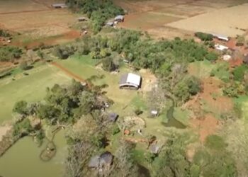 Una cooperativa ecológica impulsa el arraigo en su tierra, produciendo alimentos y luchando contra los agroquímicos.