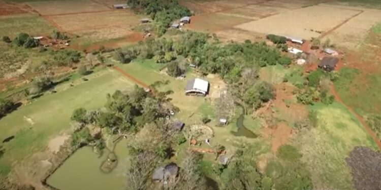 Una cooperativa ecológica impulsa el arraigo en su tierra, produciendo alimentos y luchando contra los agroquímicos.