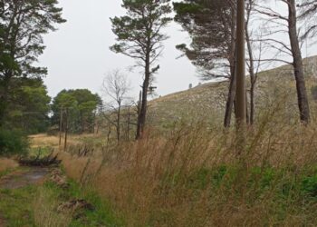 Villa Ventana servicios normalizados y se continúa trabajando en la zona rural