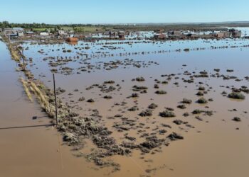Riesgo de enfermedades tras las inundaciones en Bahía Blanca: cuáles son las más comunes y cómo prevenirlas