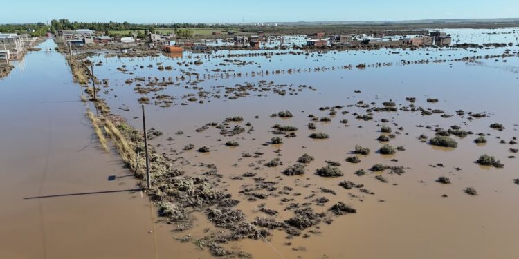 Riesgo de enfermedades tras las inundaciones en Bahía Blanca: cuáles son las más comunes y cómo prevenirlas