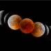 Eclipse lunar total: cuándo y cómo ver la “luna de sangre” en Argentina