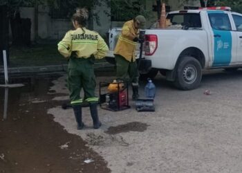Trabajo tras el temporal: «la primera intervención directa que hicimos fue convocar a todos los guardaparques de la región, que ya estaban preparados para salir»