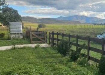 Sierra de la Ventana: Dos viviendas fueron saqueadas en el Barrio Parque Ventania