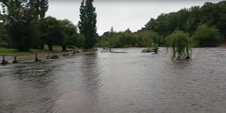 Impresionante desborde del Arroyo San Bernardo