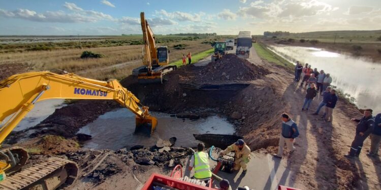 Vialidad Nacional avanza en el armado de un puente en un tramo de la Ruta 3 afectado por el temporal