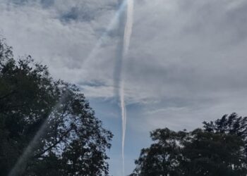 «Hay todo un plan de destrucción de la cubierta vegetal de la tierra Argentina a través de todo un modelo de agronegocios.»