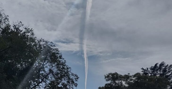 «Hay todo un plan de destrucción de la cubierta vegetal de la tierra Argentina a través de todo un modelo de agronegocios.»
