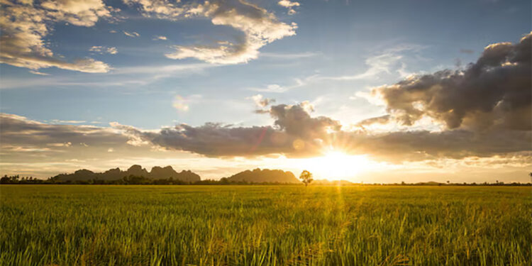 El mercado inmobiliario rural pone el ojo en nuevas regiones productivas