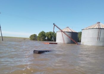 Chasicó: «12 familias que producen hortalizas y verduras de hojas y es terrible como el agua se llevó absolutamente toda la producción.»