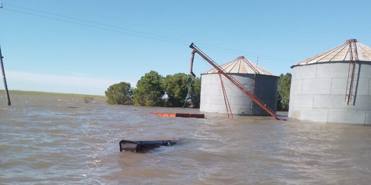 Chasicó: «12 familias que producen hortalizas y verduras de hojas y es terrible como el agua se llevó absolutamente toda la producción.»