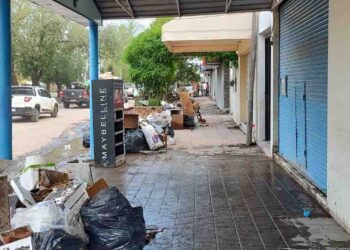 Las recomendaciones de la municipalidad de Bahía Blanca para saneamiento y limpieza de viviendas