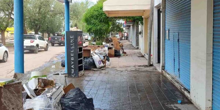 Las recomendaciones de la municipalidad de Bahía Blanca para saneamiento y limpieza de viviendas