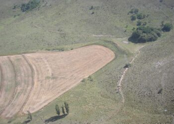 Tornquist: Ejemplo nacional de cómo evitar inundaciones en la ciudad.