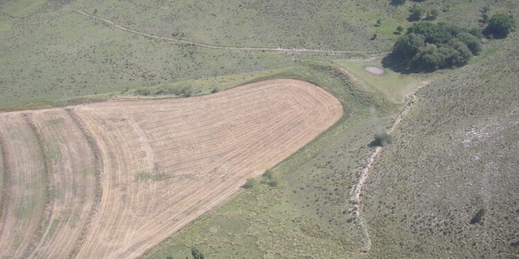 Tornquist: Ejemplo nacional de cómo evitar inundaciones en la ciudad.