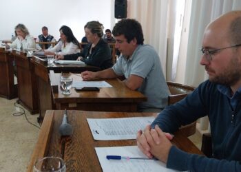 La oposición no dio tratamiento sobre tablas al expediente sobre conexiones de GLP en Villa Ventana.