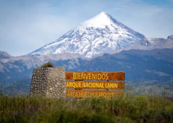 Tras tres meses de intenso trabajo, fueron extinguidos los incendios en el Parque Nacional Lanín