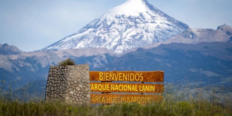 Tras tres meses de intenso trabajo, fueron extinguidos los incendios en el Parque Nacional Lanín