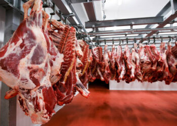 Fuerte caída en las exportaciones de carne argentina