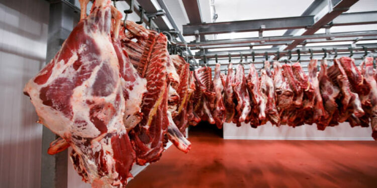 Fuerte caída en las exportaciones de carne argentina