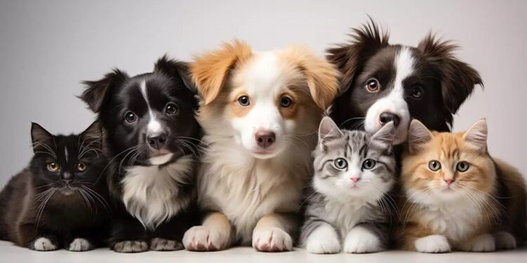 Día del Animal: ¿por qué se celebra el 29 de abril?