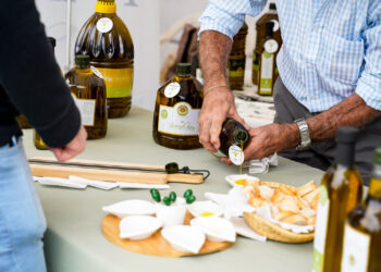 Ruta del Olivo: Olivicultura con sello bonaerense