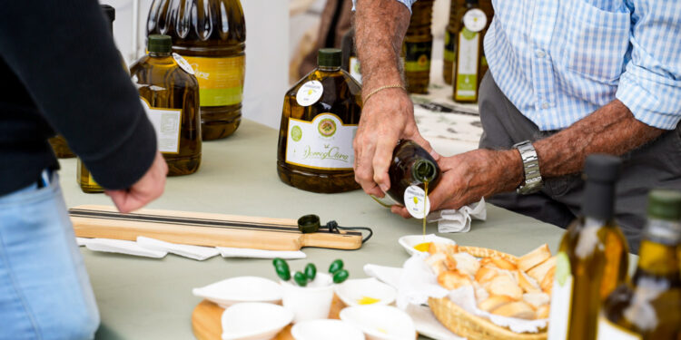 Ruta del Olivo: Olivicultura con sello bonaerense