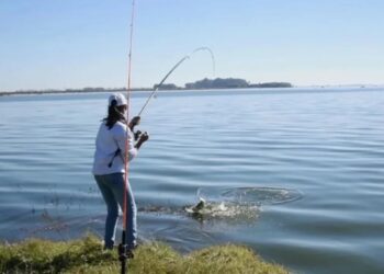 Hay pique: las 6 mejores lagunas para pescar pejerrey en Buenos Aires
