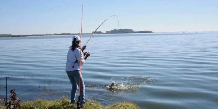 Hay pique: las 6 mejores lagunas para pescar pejerrey en Buenos Aires