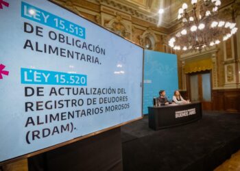 Vecinas en el aire: Hoy la promulgación de la ley N°15520, de actualización del registro de deudores alimentarios morosos en la provincia.