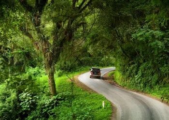 De doble mano y cuatro metros de ancho: ¿cuál es la ruta más angosta del país con paisajes siempre verdes?