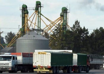 Advierten que el transporte de carga podría paralizarse en todo el país