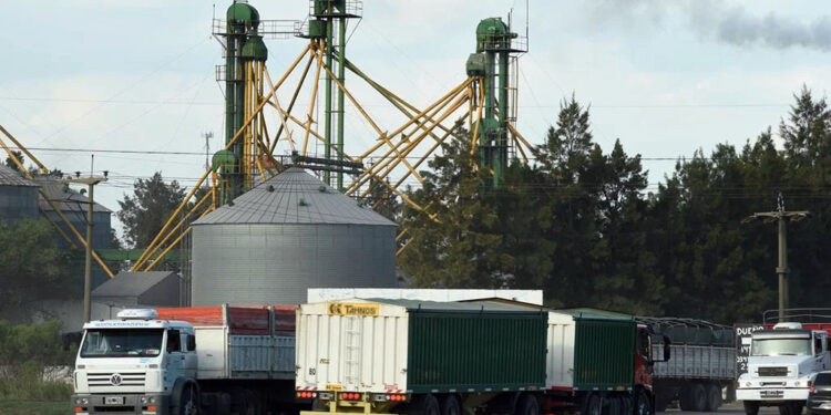 Advierten que el transporte de carga podría paralizarse en todo el país