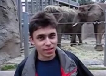 El primer video de YouTube cumple 20 años: de qué era la grabación y cómo surgió la idea