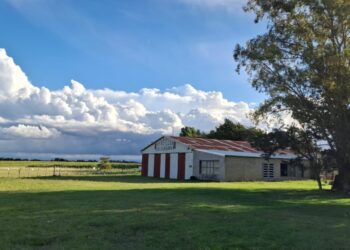 «Hemos encontrado el predio del Matadero que se puede llegar a utilizar como pista para el Aeroclub»