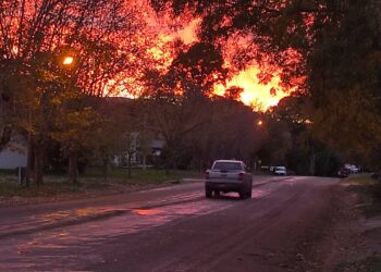 Vialidad actualizó el avance de los trabajos de reparación de la ruta 35