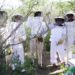 Una cooperativa apícola desarrolla un importante manejo agroecológico ayudando a restaurar el monte nativo.