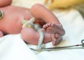 El cordón umbilical podría contener pistas sobre la salud futura de un niño