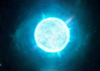 Astrónomos argentinos participaron del descubrimiento de una estrella «enana blanca»