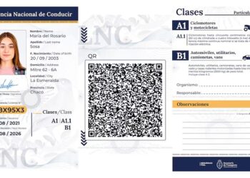 Desde hoy rige la nueva Licencia de Conducir Digital: qué jurisdicciones adhirieron y cómo es el trámite online