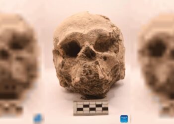 Guatemala: descubren «Los Abuelos», uno de los centros ceremoniales más antiguos de la civilización maya