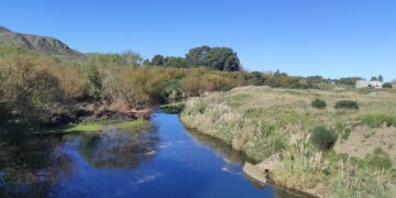 La semana arranca con viento y temperaturas agradables.