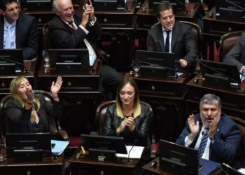 El Senado rechazó el proyecto de ley de ficha limpia y no podrá volver a ser tratado este año